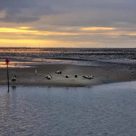 בית נופש 4 Person In Fano-by Traum *