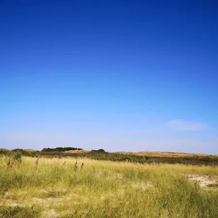 4 Person In Fano-by Traum *