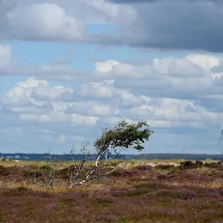 בית נופש 4 Person In Fano-by Traum Fanø